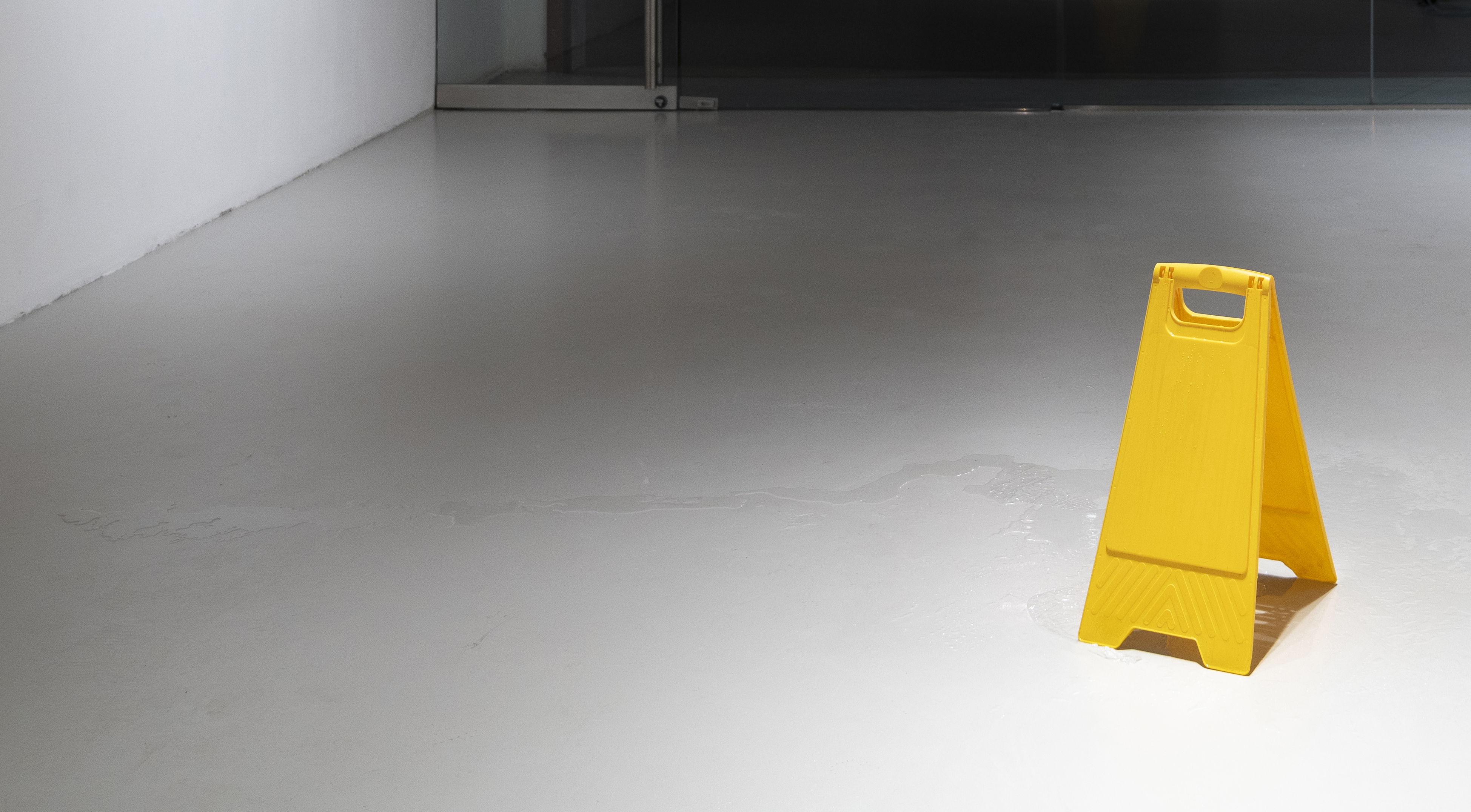 Ella Fleck Presence Ella Fleck, Presence,